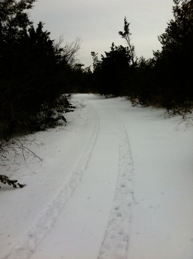 Hiking through the deep snow, I broke through the scrub brush and came across the ring track. ATVs have used it.