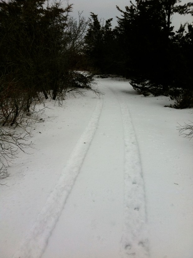 The ring track has quite a large diameter, with a gradual curve to it. 
