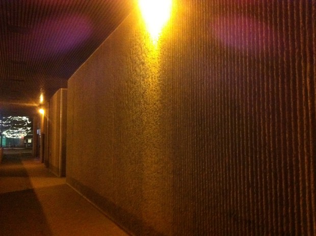 Rear view of Podium Building. A popular architectural style of the early 1970s era was poured, ribbed, rough concrete, identical to the construction technique of the NAC built in the same year.