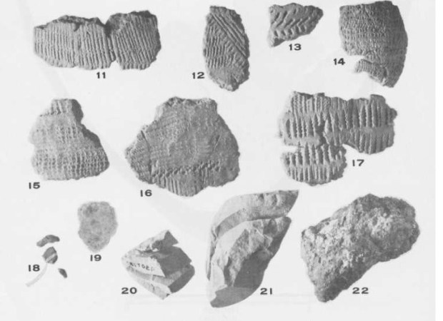 A sample of the items recovered from the 500BC site.