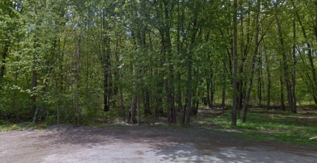 The ancient site area as it looked in 2013.