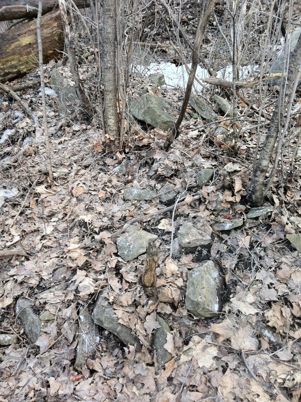 A mass of tumbled stones on the site could be remnants from the first settlement.