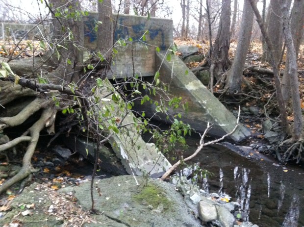 Hidden by trees and bushes in the summer, the old CP line bridge on NCC property where the proposed LRT route is to go on the SJAM parkway would use this exact same old rail line route.