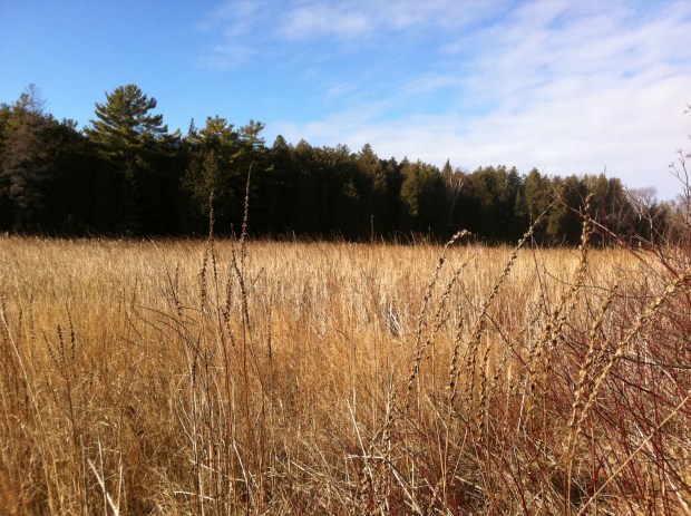 I explored the riverbanks and re-traced the path of the French captain back to the bay where he burned his ship in 1758.