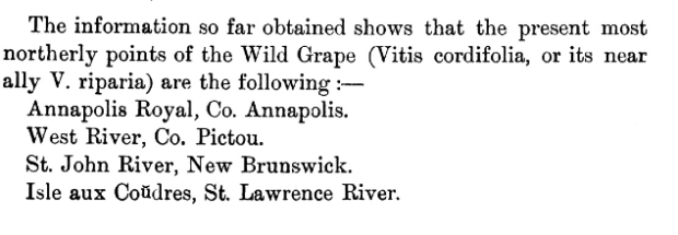 Screen Shot 2015-11-16 at 11.12.34 PM