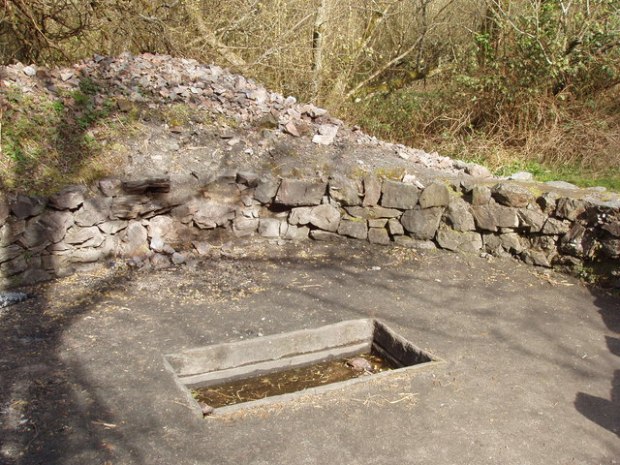 Fulacht_Fiadh_cooking_pit,_Irish_National_Heritage_Park_-_geograph.org.uk_-_1255093