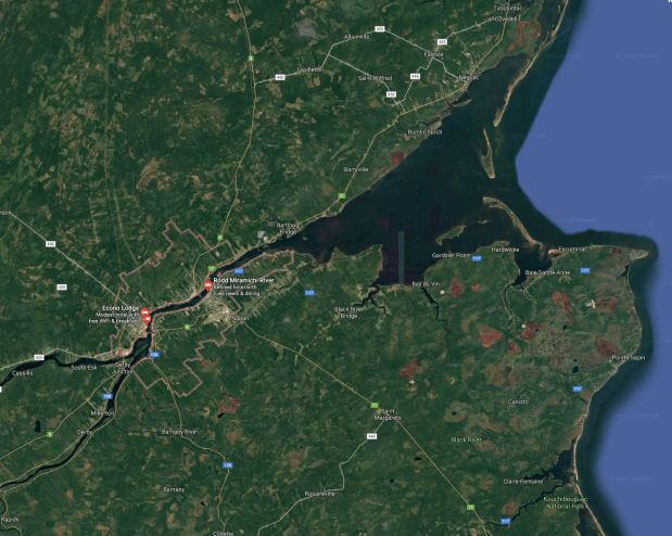 Screen Shot 2018-05-24 at 5.02.18 AM