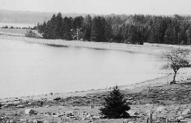 Screen shot 2018-05-27 at 7.03.15 PM