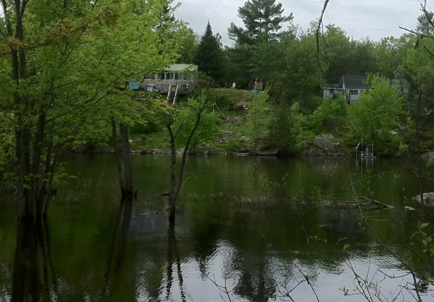 Same scene: pontiac2018