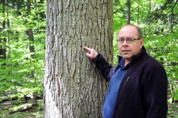 1297418210976_ORIGINAL_Super_Portrait