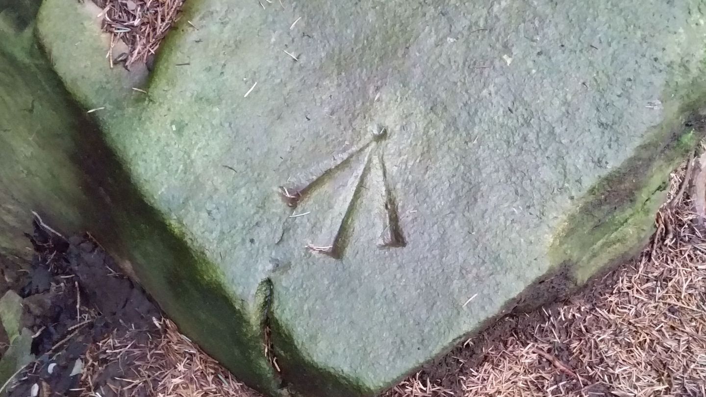 Carved Benchmark MYSTERY OF THE CARVED CROSS | OTTAWA REWIND