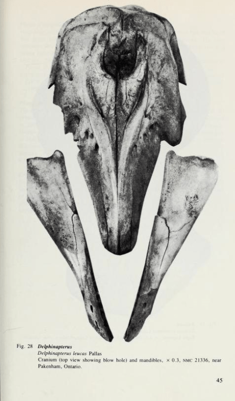 Screen Shot 2015-06-22 at 1.52.14 PM