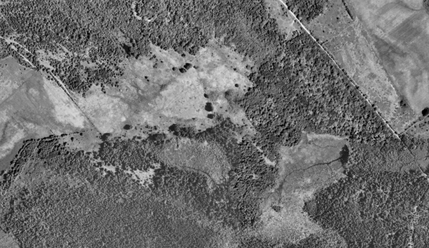 Screen Shot 2019-11-04 at 9.04.29 PM