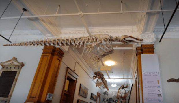 Screen shot 2019-11-19 at 8.15.39 PM