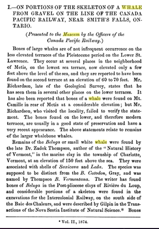 Screen shot 2019-11-19 at 8.45.27 PM